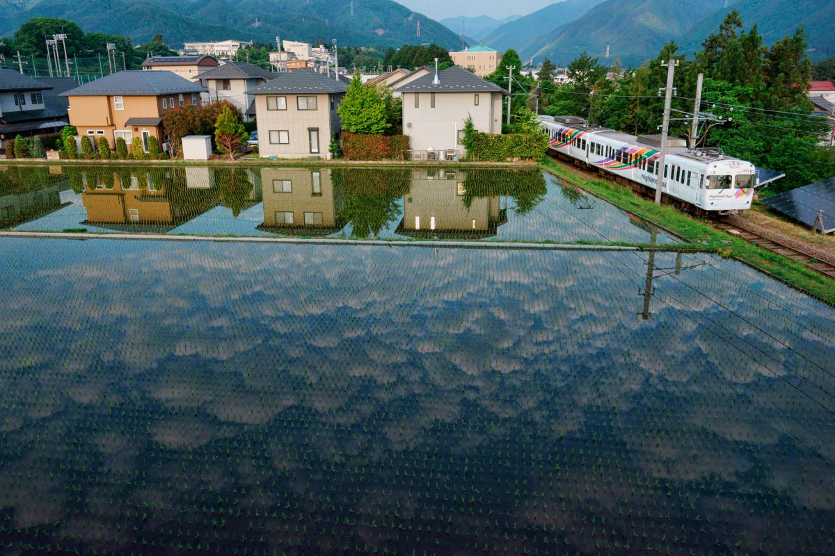 Vario-Sonnar T＊ 24-70mm F2.8 ZA SSMで撮影された写真 | 写真検索