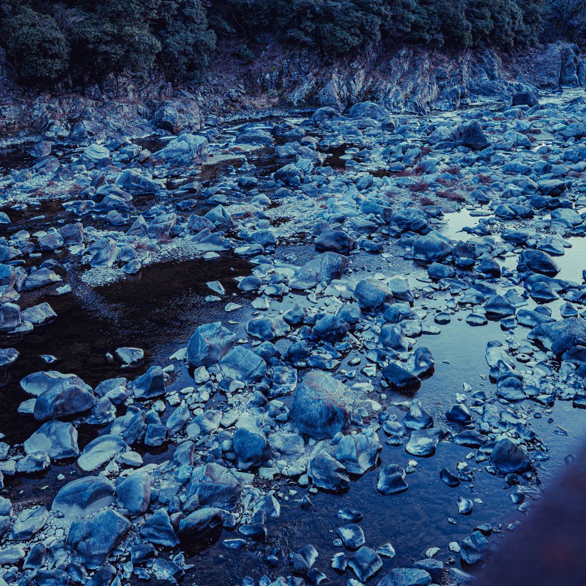 LUMIX DC-S5で撮影された写真 | 写真検索 | GANREF