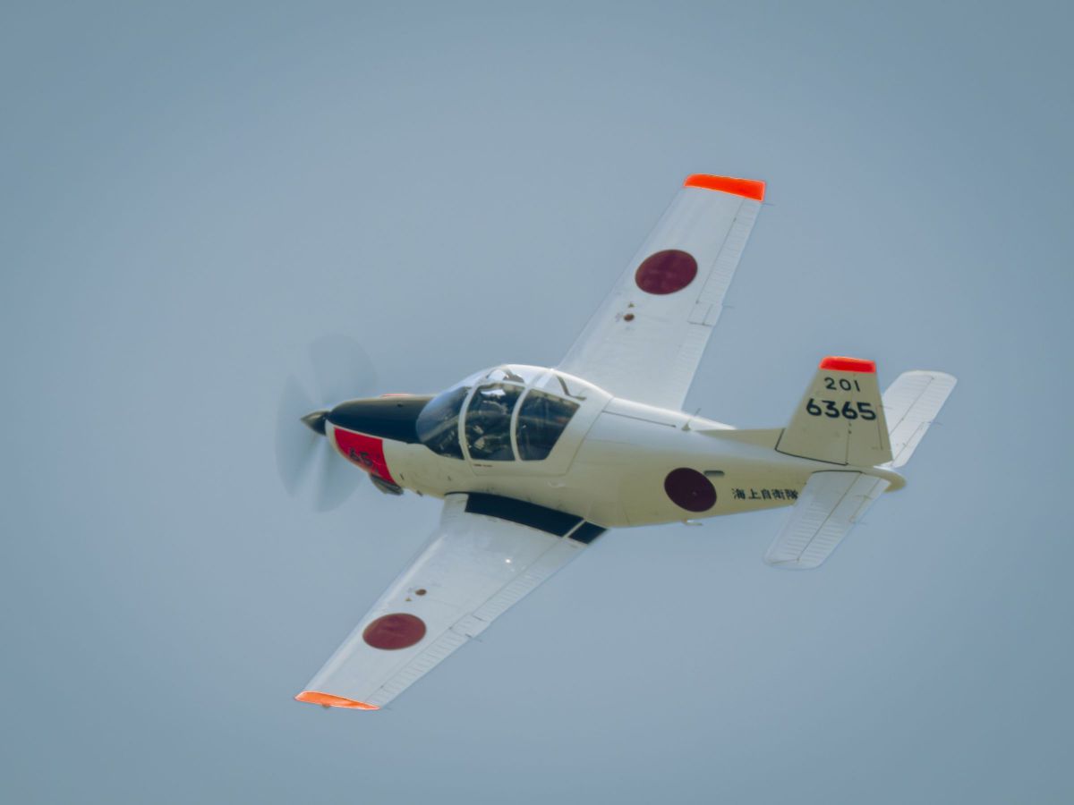 NIKKOR Z 180-600mm f/5.6-6.3 VRで撮影された写真 | 写真検索 | GANREF