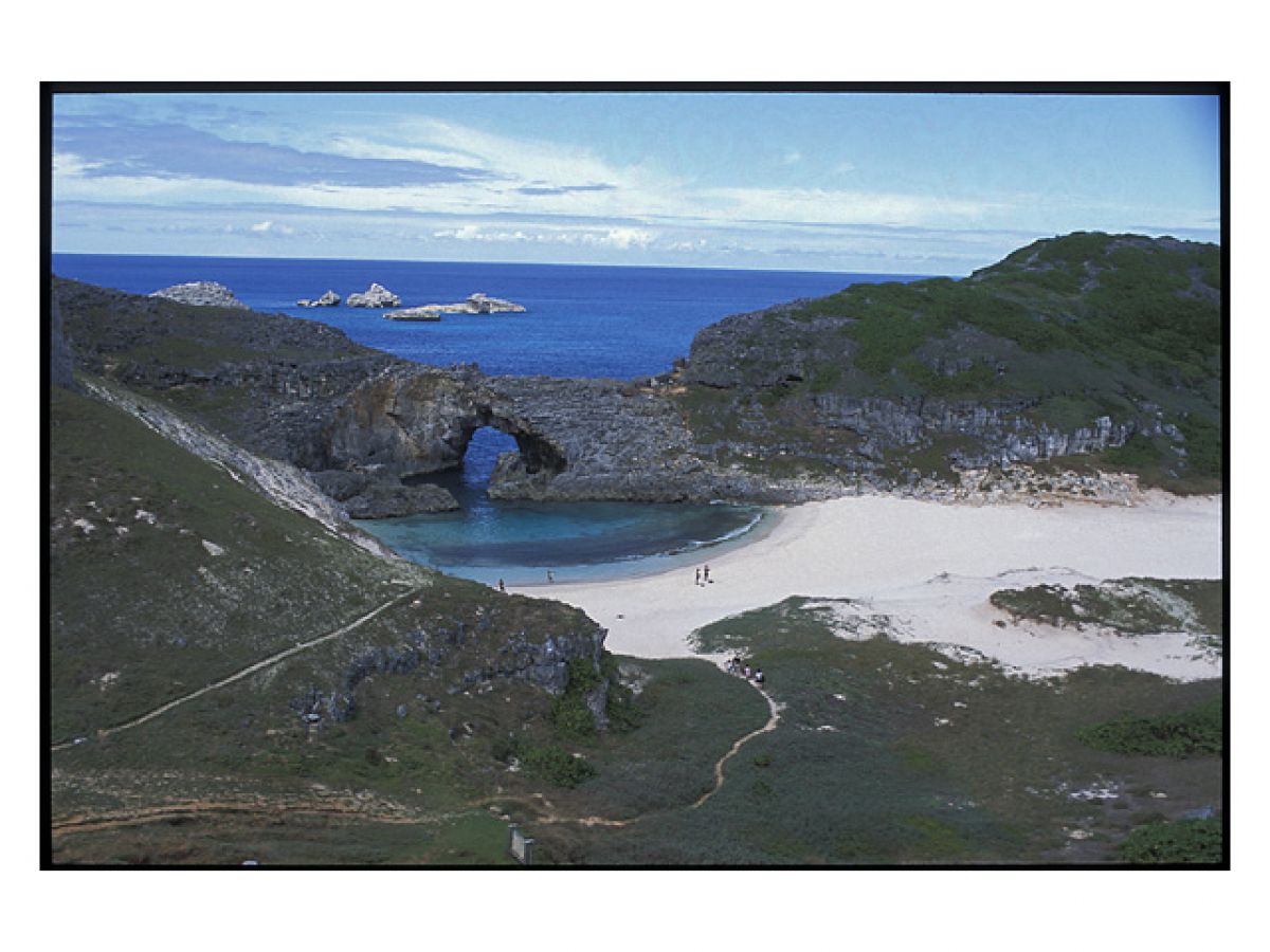 小笠原諸島 南島 自然 風景 世界自然遺産 Ganref