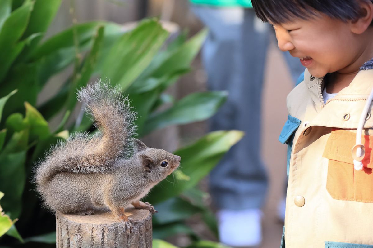 かわいいね きみもね 動物 鳥類 Ganref