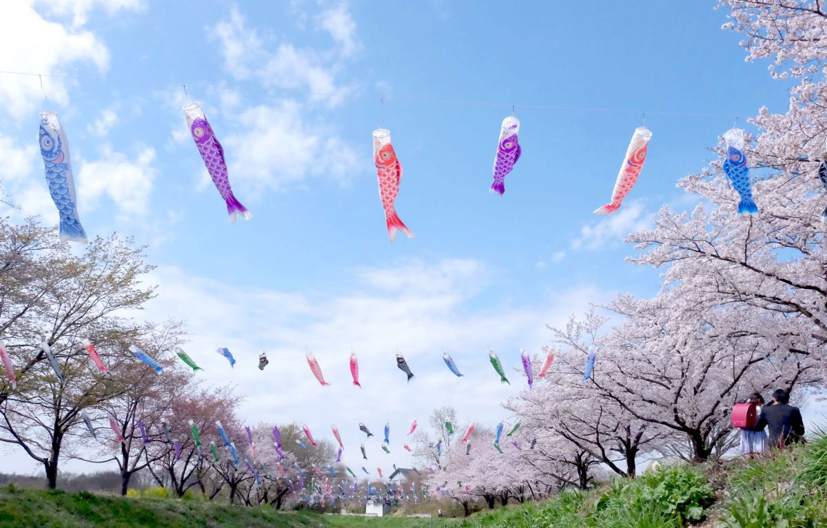 FUJIFILM X-T1 参考画像有り FUJIFILM X-T1で撮影された写真 | 写真