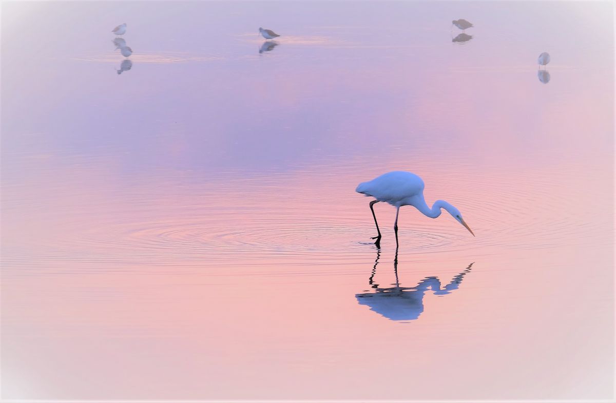 FUJIFILM X-T1で撮影された写真 | 写真検索 | GANREF