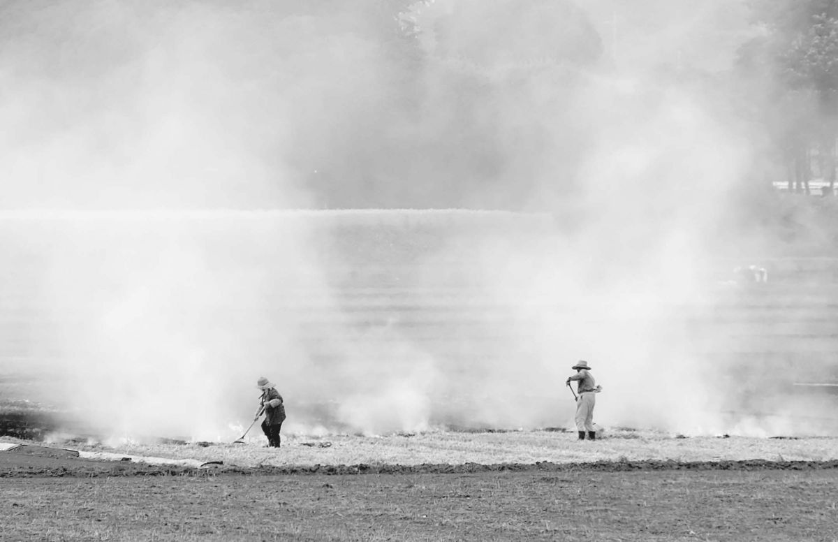 たゆみない歩み ライフ 日常生活 Ganref