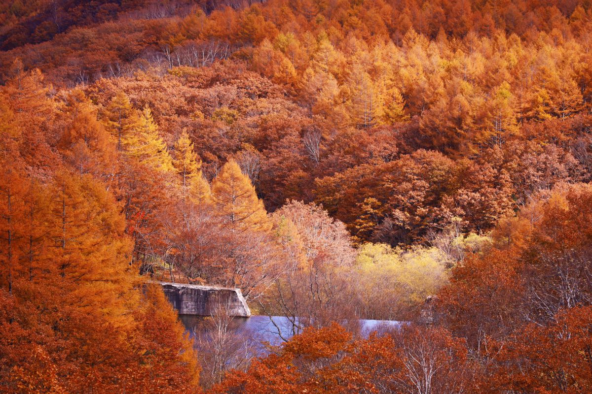 koyo dam | GANREF