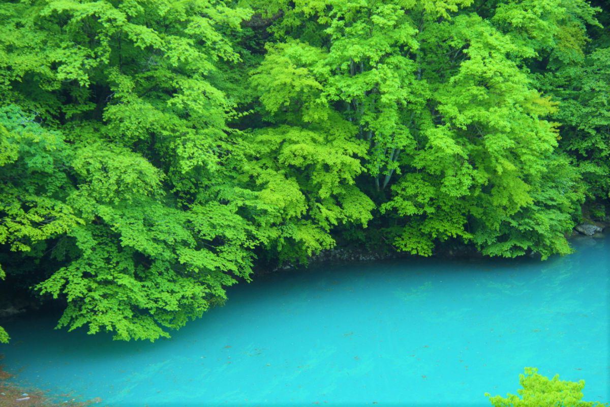 blue and green | GANREF