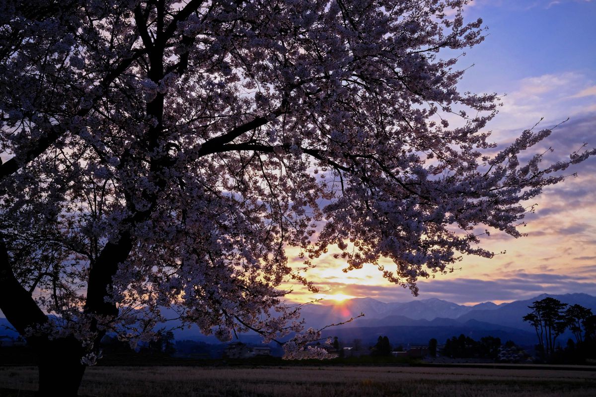 小摺戸村 自然 風景 大地 Ganref