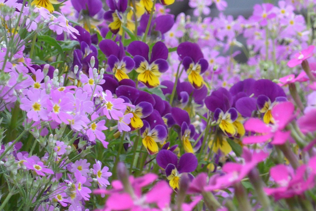 LUMIX DMC-LF1で撮影された写真 | 写真検索 | GANREF