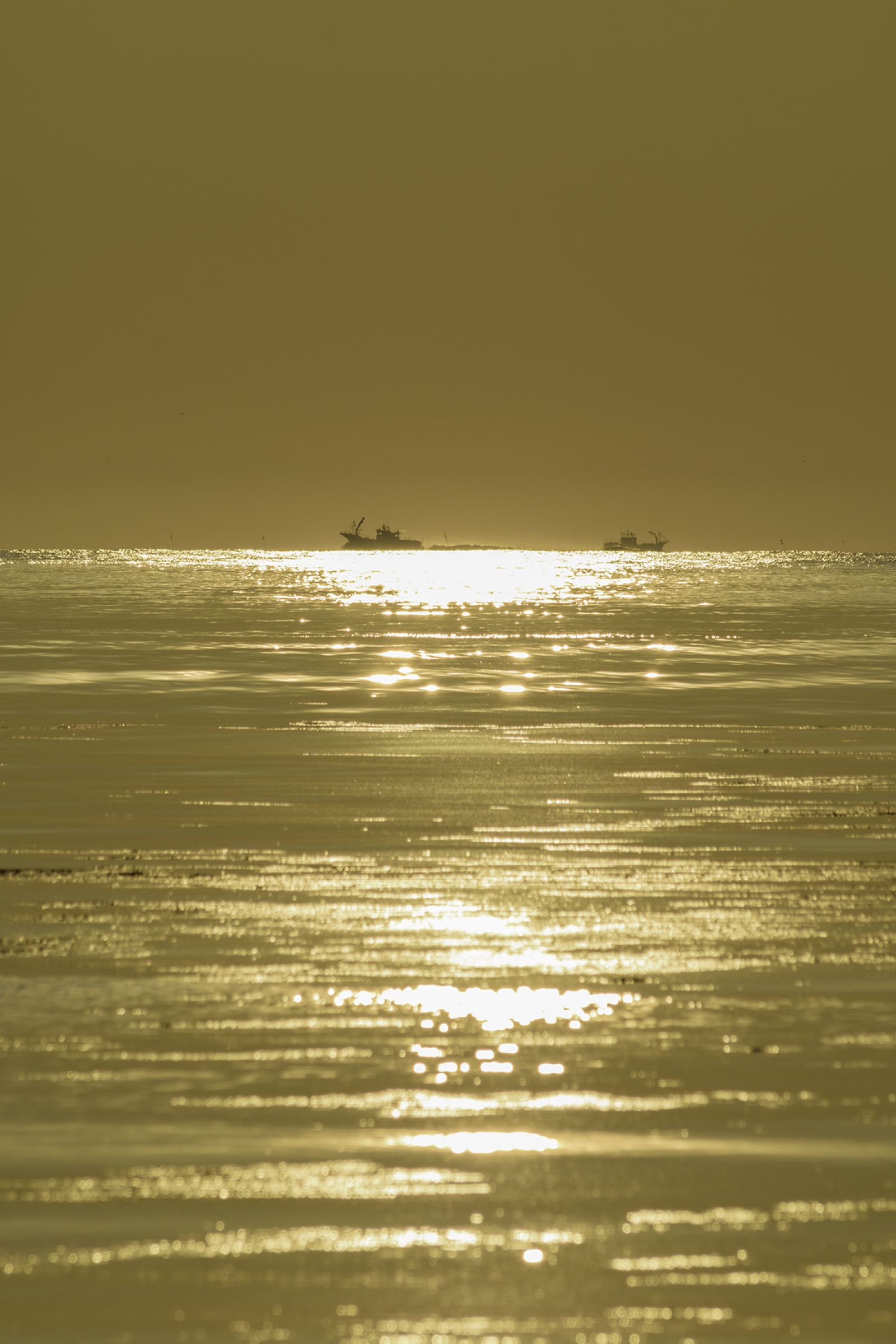 黄金の海 | GANREF