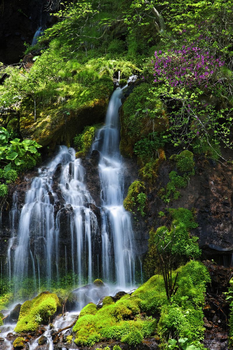 吐竜の滝 つつじの頃 自然 風景 滝 Ganref