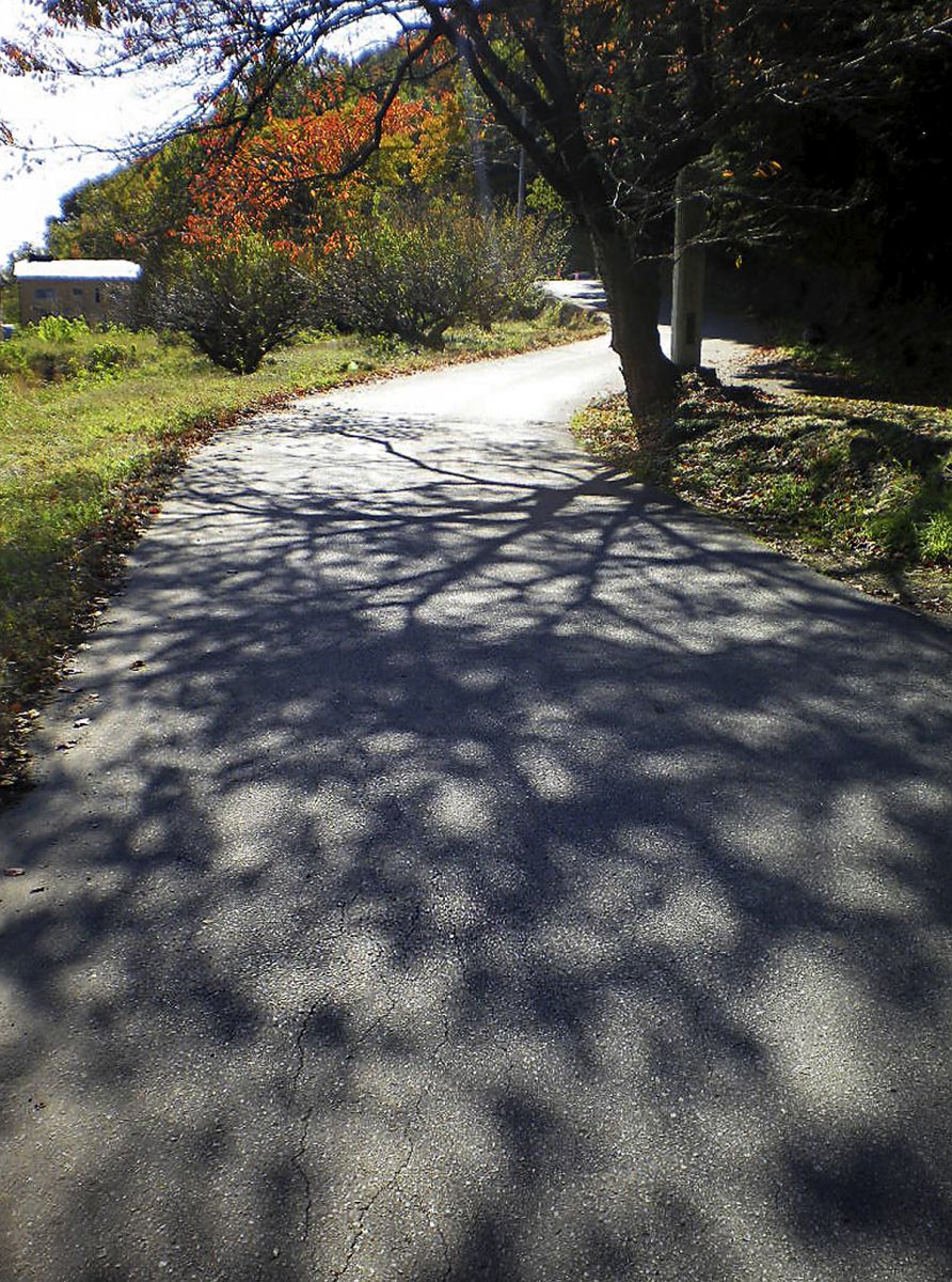 PENTAX Optio E70で撮影された写真 | 写真検索 | GANREF