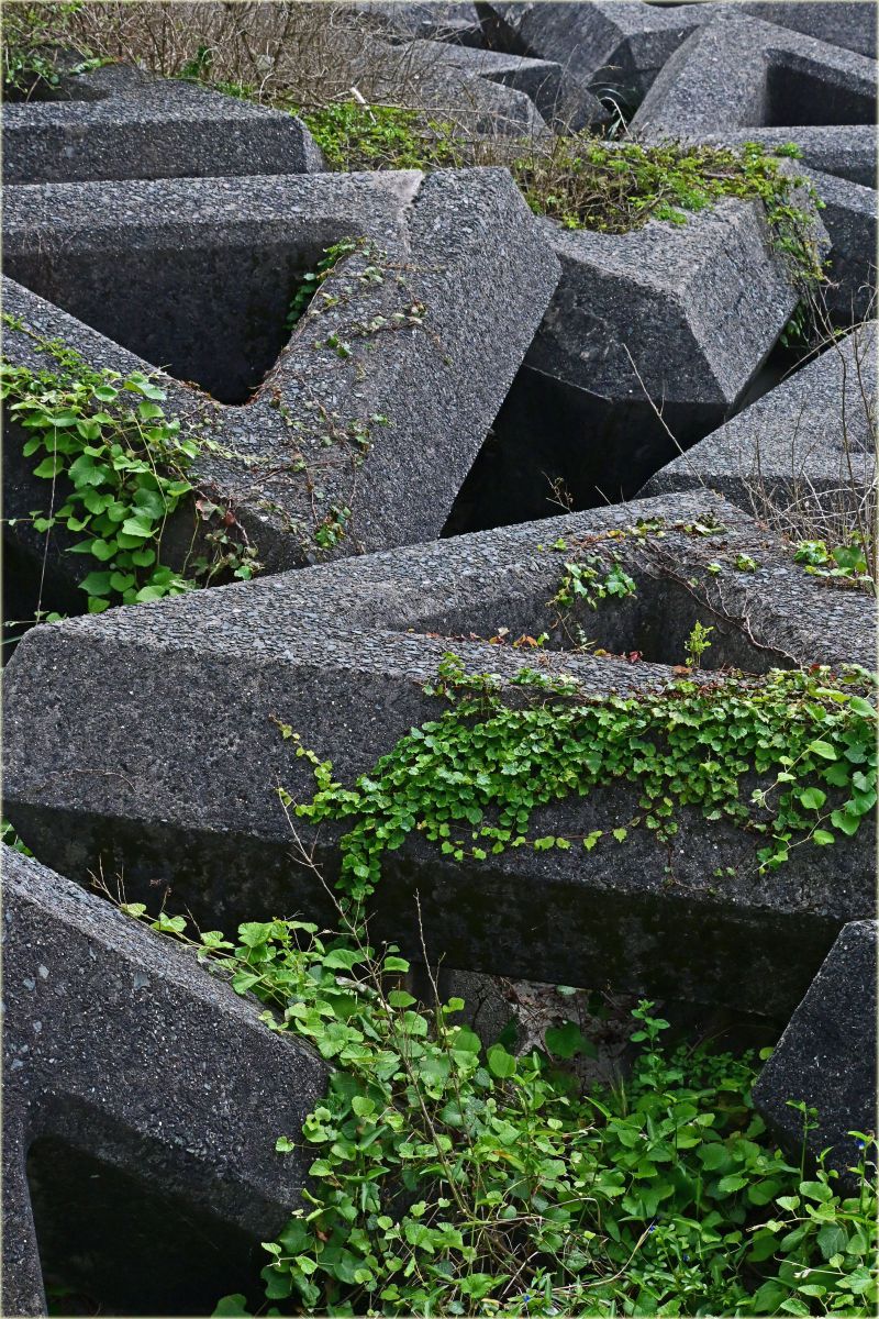 テトラポッド GANREF