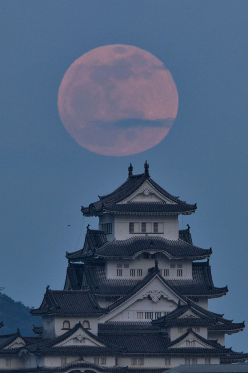 flower moon | GANREF