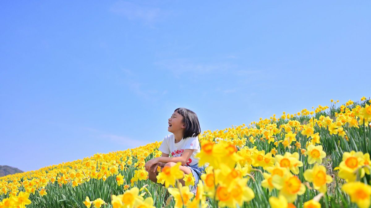 NIKKOR Z 28mm f/2.8 (SE)で撮影された写真 | 写真検索 | GANREF