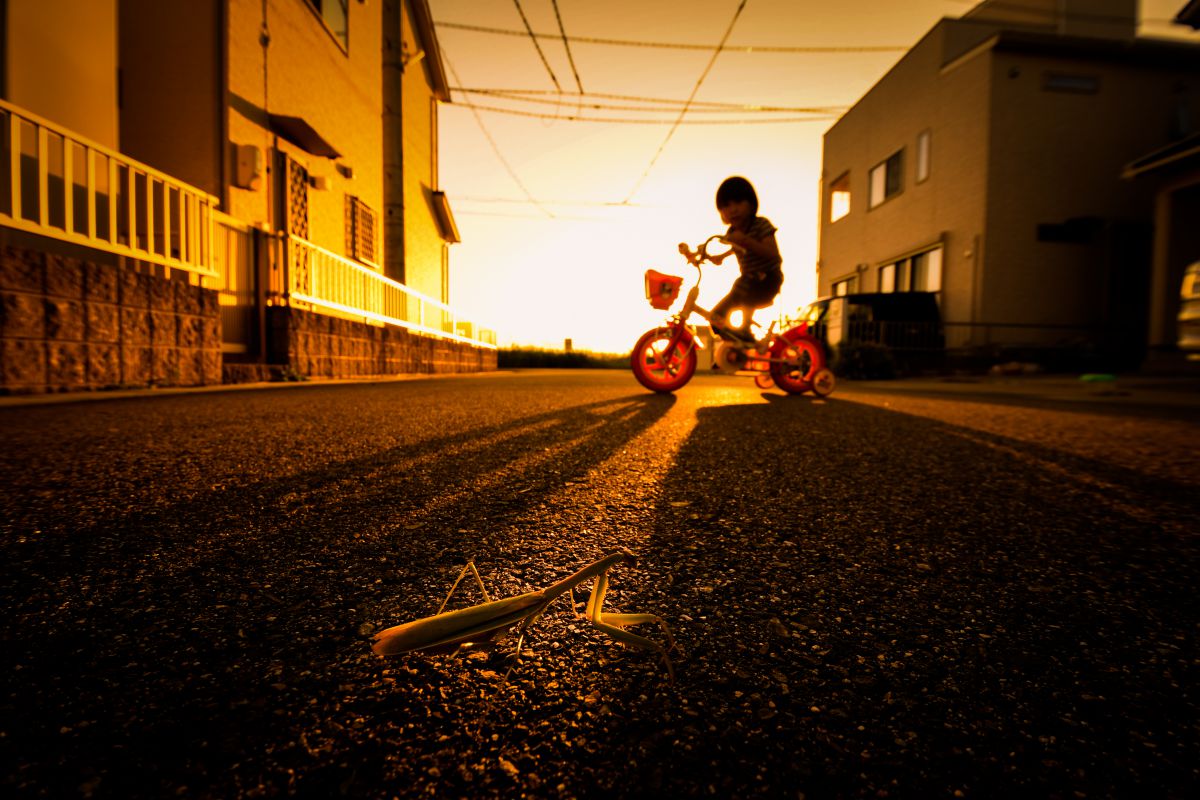 美品 AF-S DX NIKKOR 10-24mm f/3.5-4.5G ED AF-S DX NIKKOR 10-24mm f/3.5-4.5G ED 中古価格比較 - 価格.com