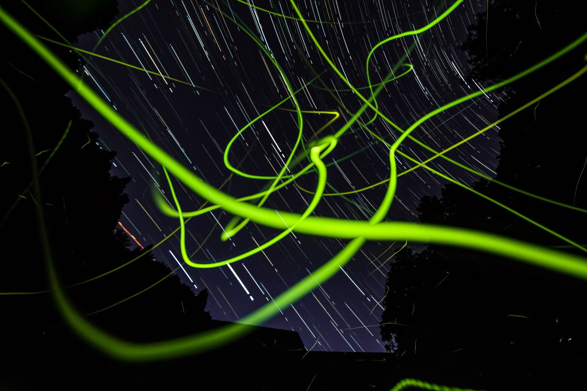 夜の蛍のマクロ撮り  GANREF