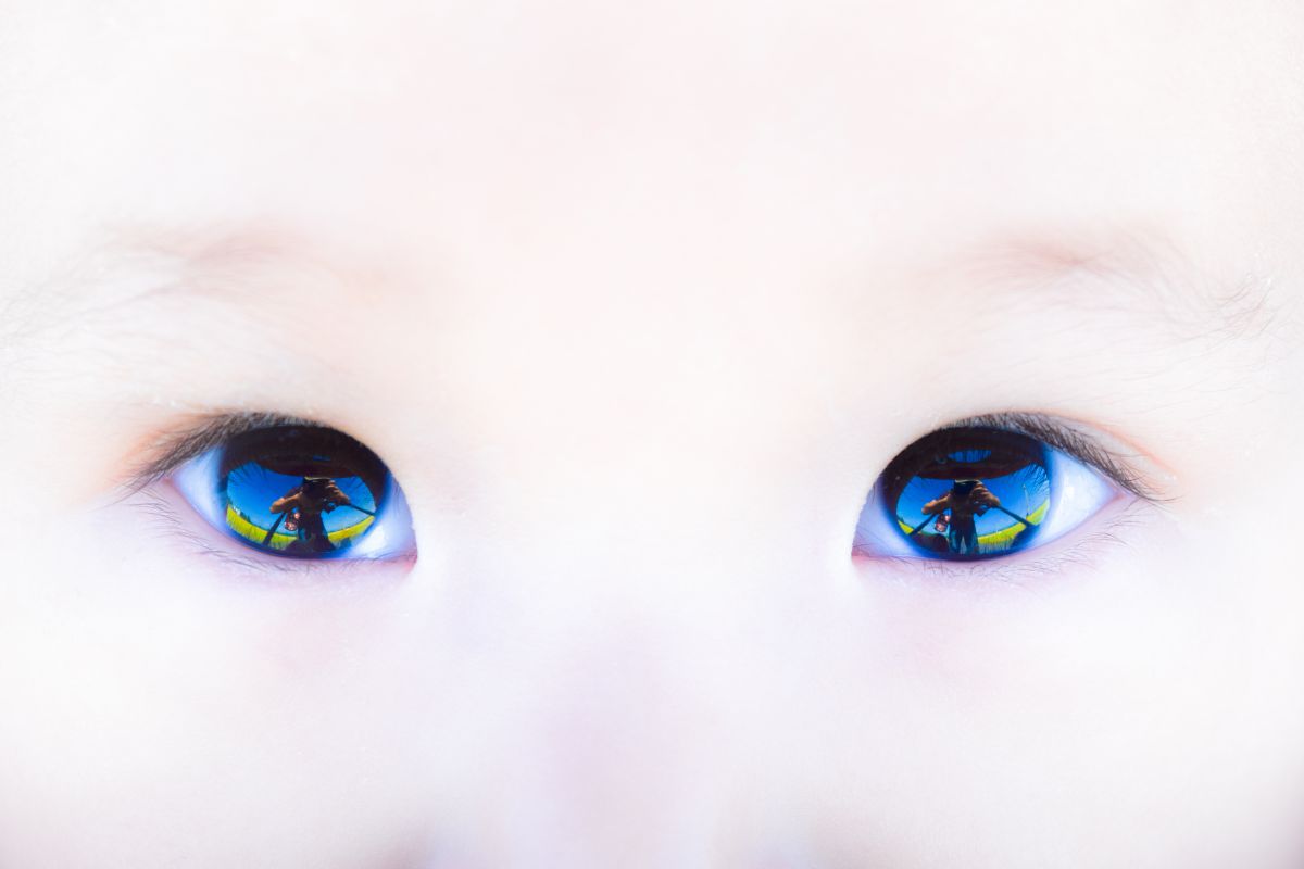 AF-S DX NIKKOR 18-55mm f/3.5-5.6G VR IIで撮影された写真 | 写真検索