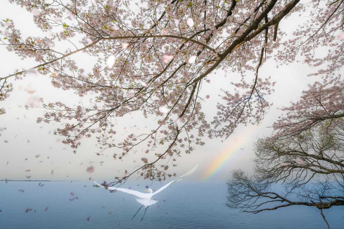 AF-S DX NIKKOR 10-24mm f/3.5-4.5G EDで撮影された写真 | 写真検索