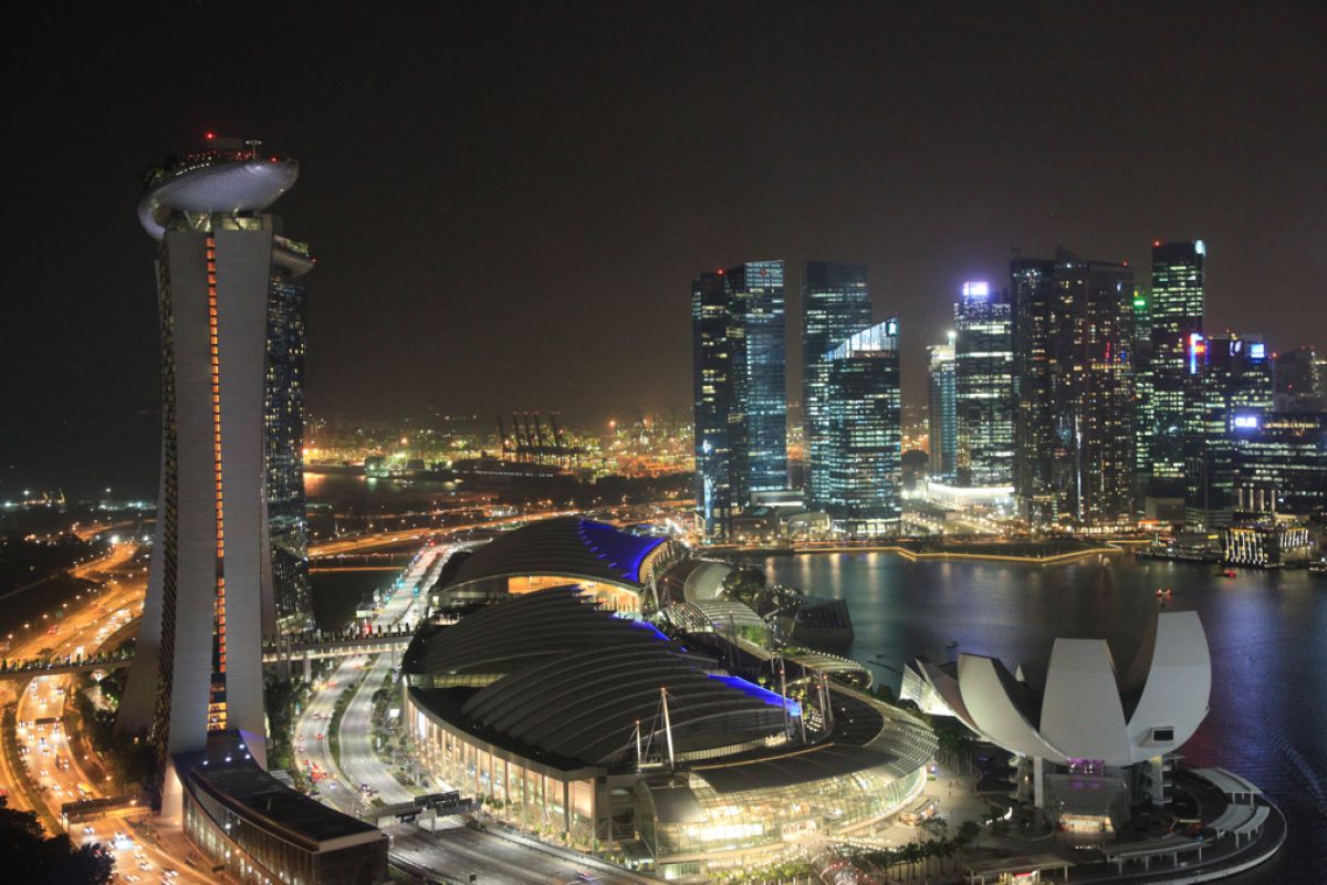 シンガポール フライヤーからの夜景 街並み 建物 夜景 Ganref