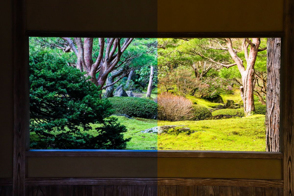 並行世界_7 GANREF