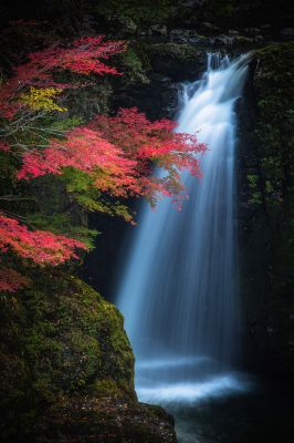 日本の秋・厳選風景16年【 風景写真 9-10月号　2007〜2022年】16冊 風景写真2025年9・10月号 | ブティック社 |本 | 通販 | Amazon