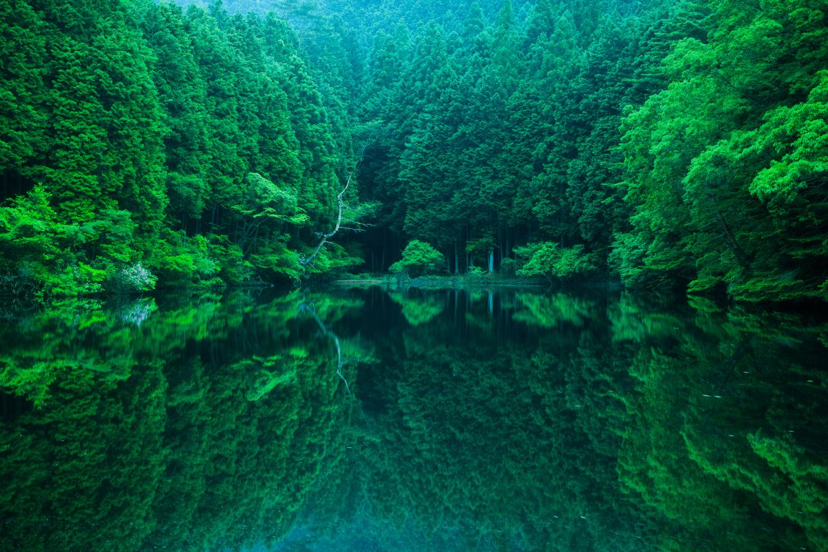 錯覚 自然 風景 山 Ganref 錯覚 自然 風景 山 Ganref