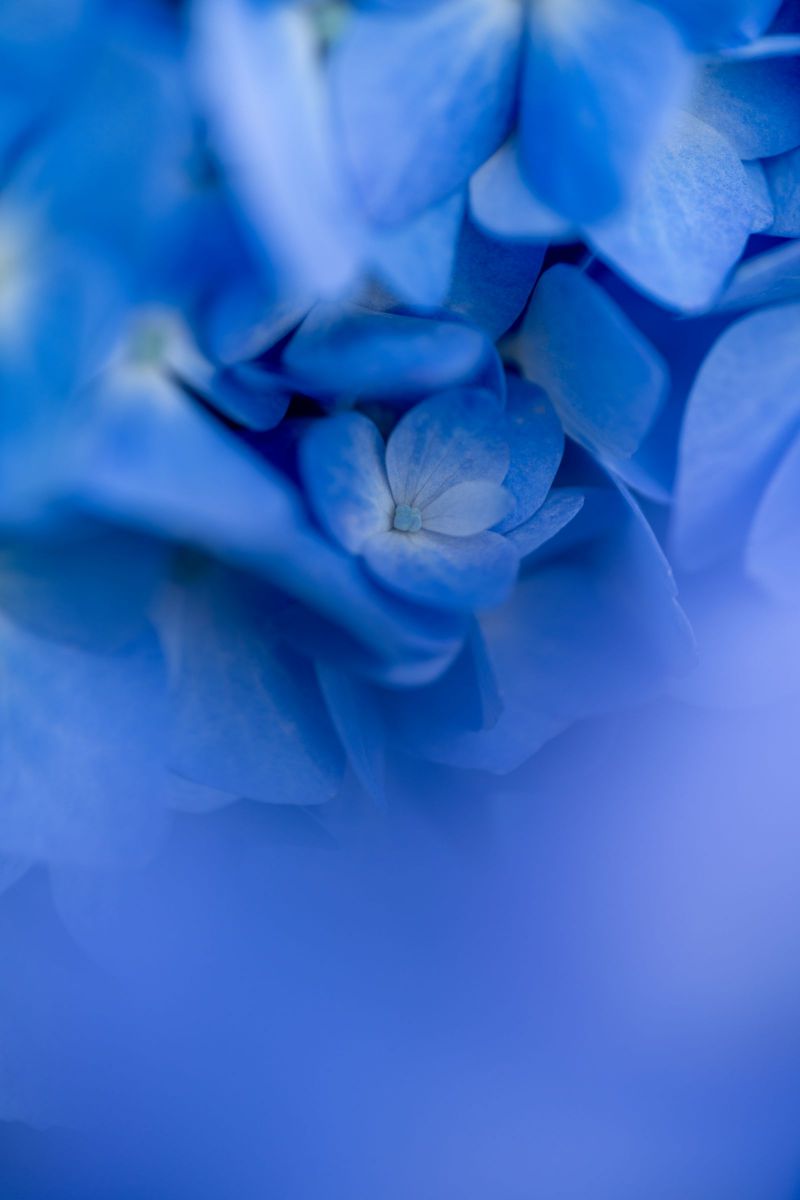 Blue Moon | GANREF