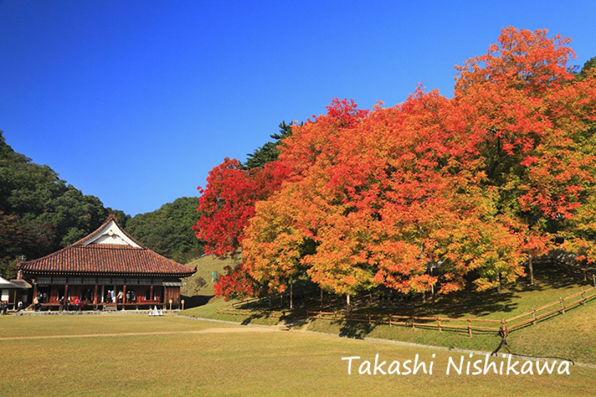 旧閑谷学校の紅葉 街並み 建物 遺跡 史跡 Ganref