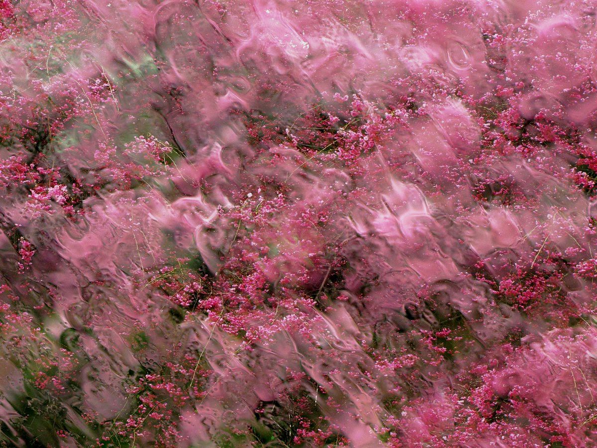 PowerShot G11で撮影された写真 | 写真検索 | GANREF