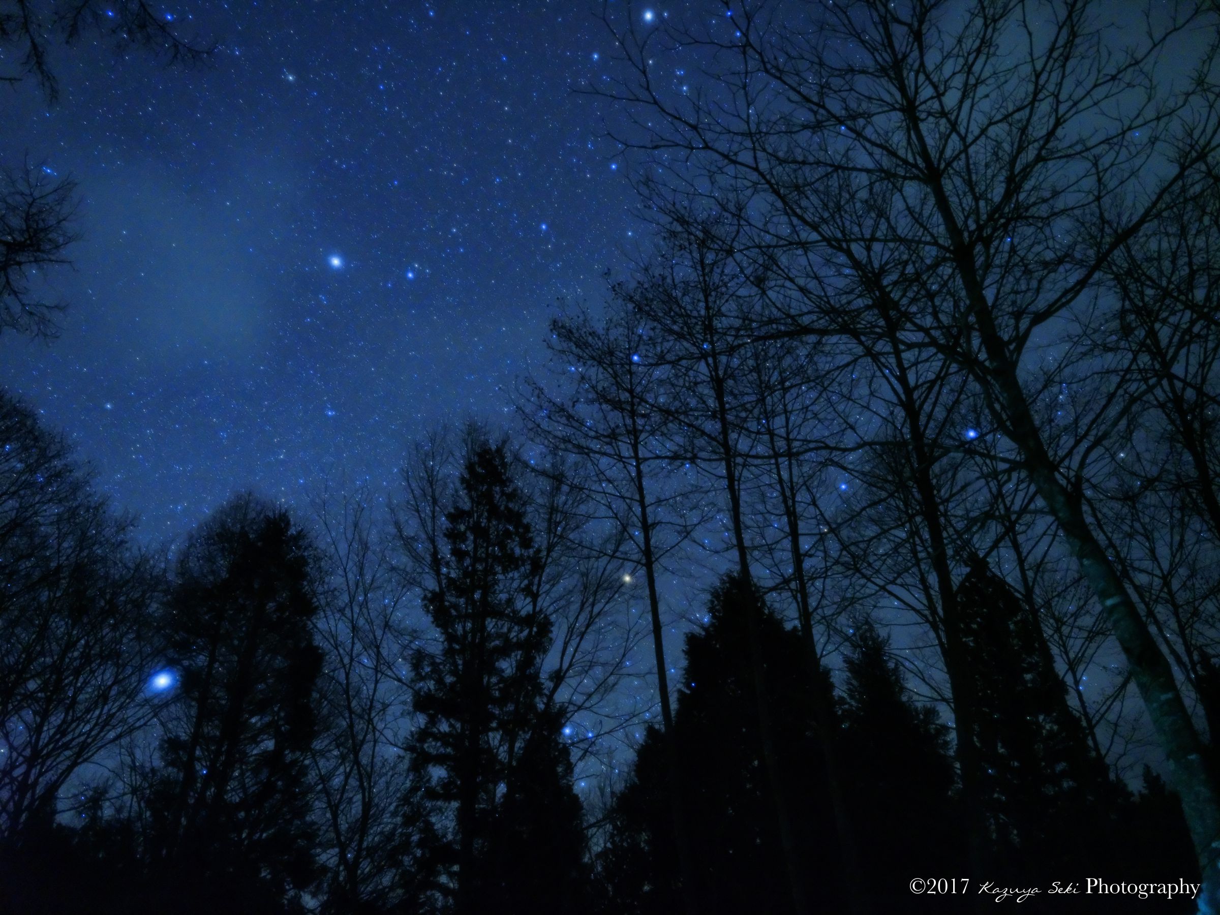 静かな夜空 | GANREF