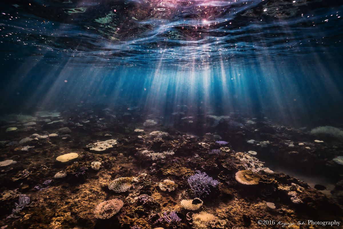 海底都市 自然 風景 海 Ganref