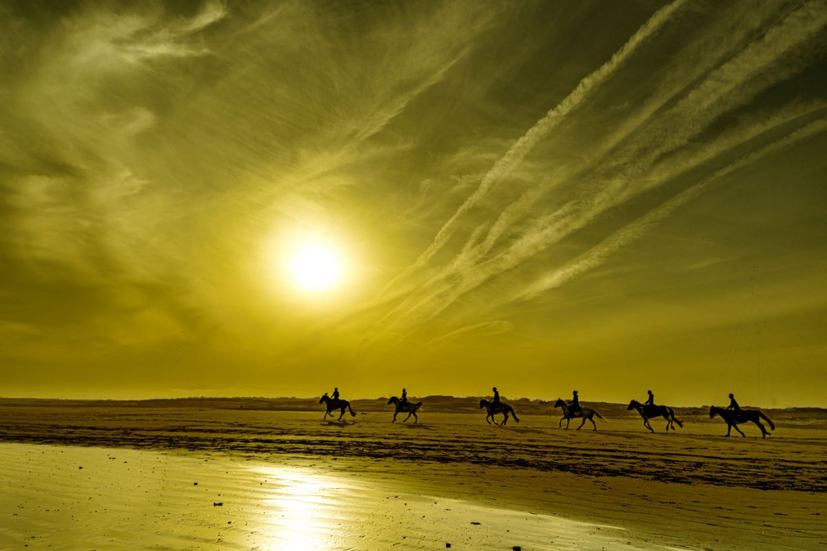 Sunset Riding | GANREF