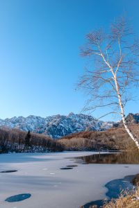 朝靄の中で | GANREF