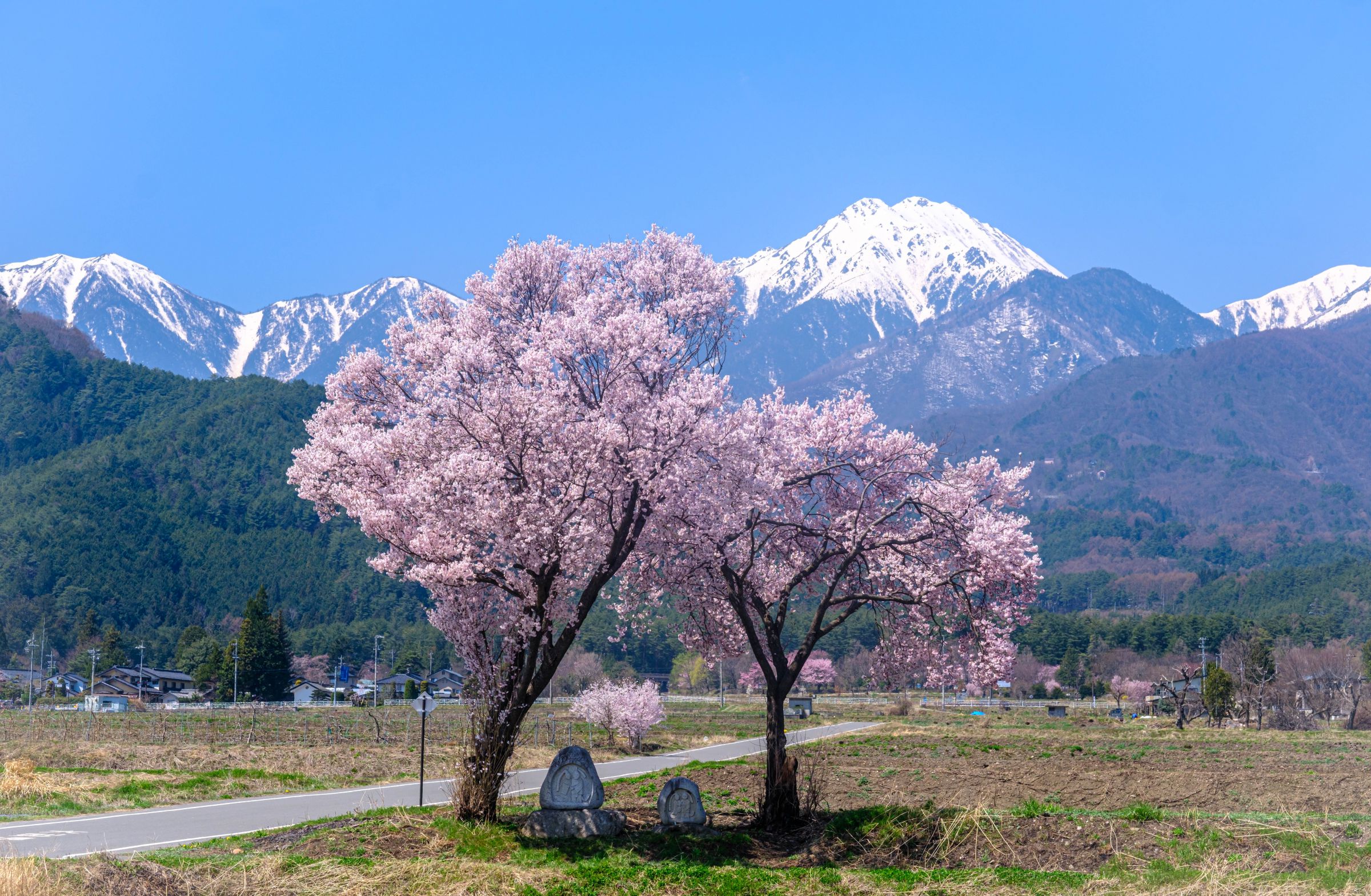 安曇野に春が来て | GANREF