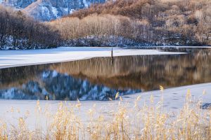 朝靄の中で | GANREF