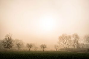 朝靄の中で | GANREF