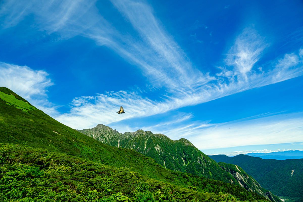 XC15-45mmF3.5-5.6 OIS PZで撮影された写真 | 写真検索 | GANREF