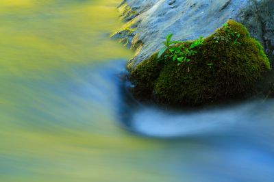 デジタルカメラマガジン 2022年7月号選考〈風景写真（夏）部門