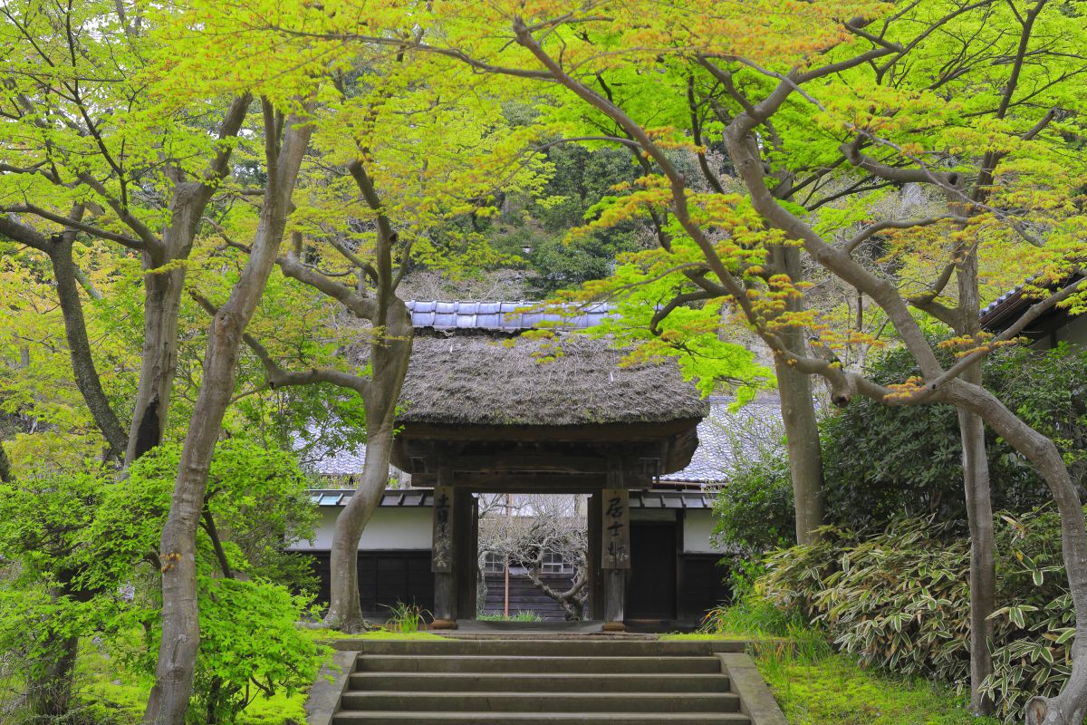 EF28mm F2.8で撮影された写真 | 写真検索 | GANREF