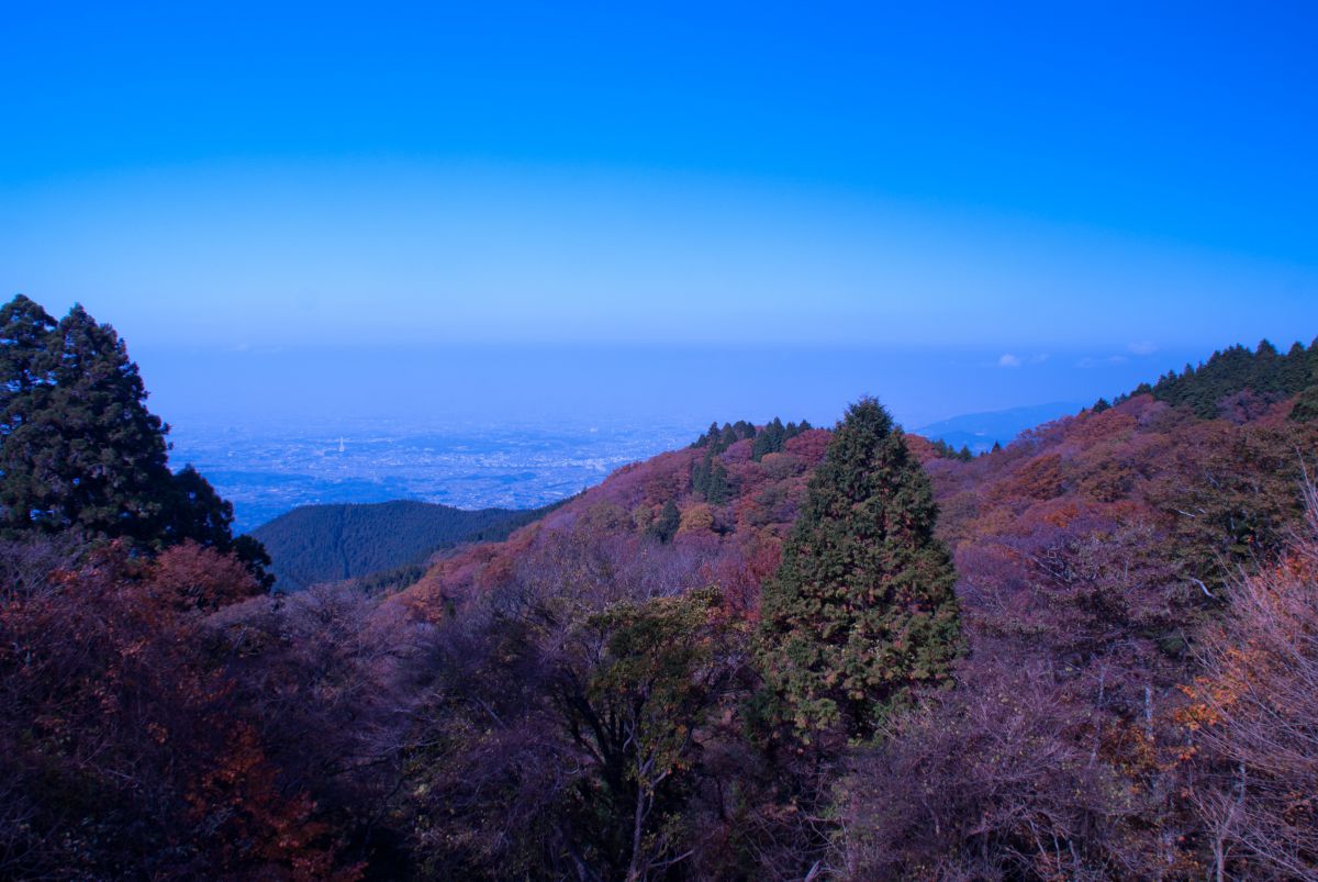 AF DT ZOOM 18-200mm F3.5-6.3 (D)で撮影された写真 | 写真検索 | GANREF