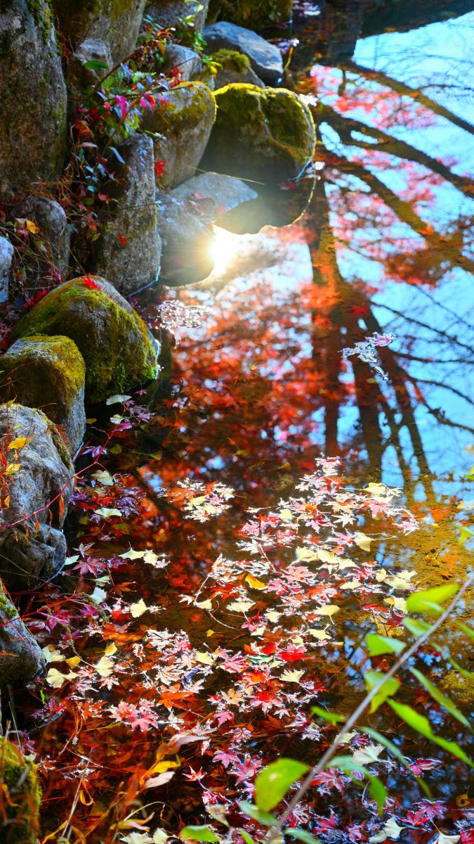 REFLECTION | GANREF