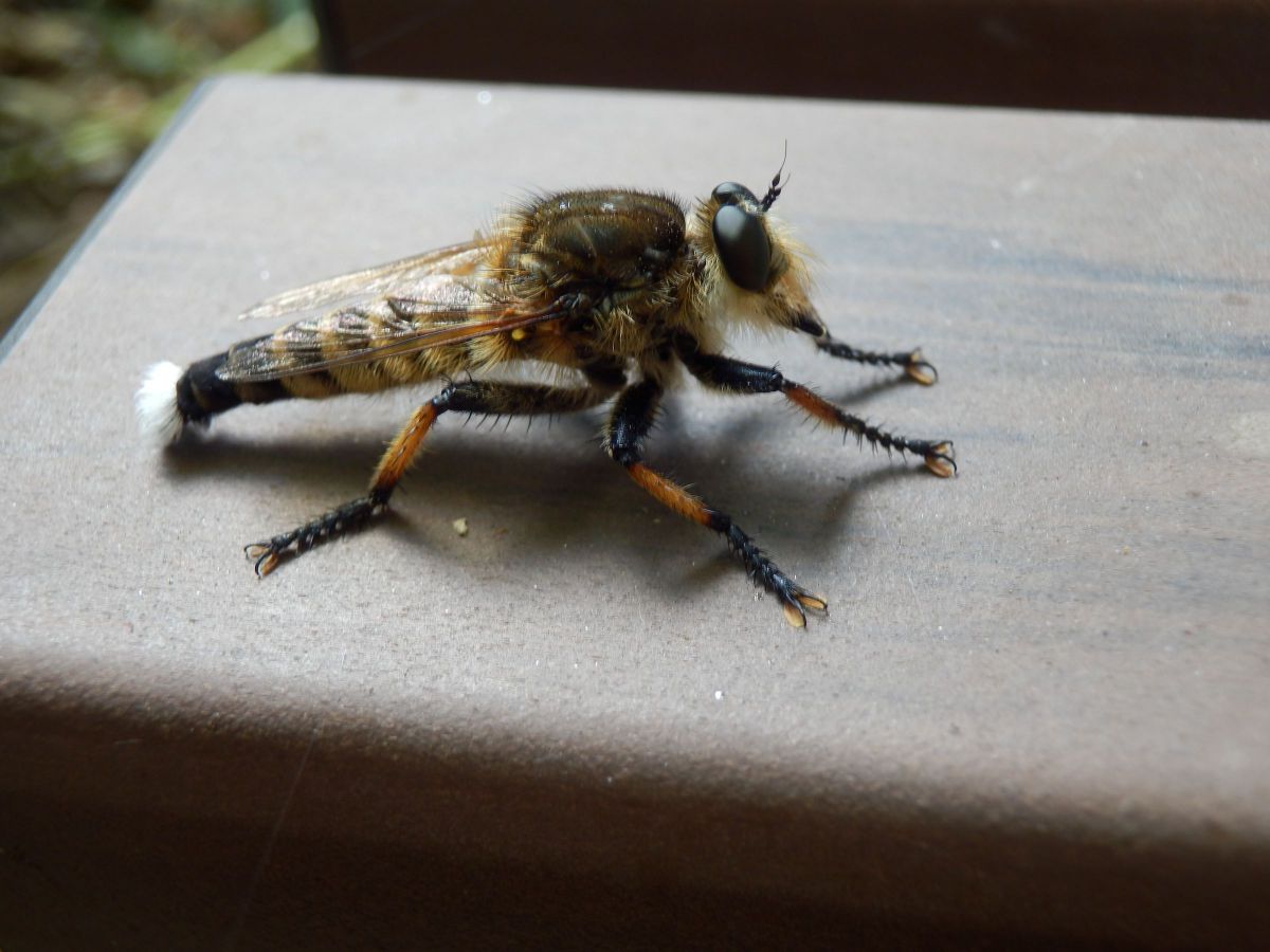 OLYMPUS SH-25MRで撮影された写真 | 写真検索 | GANREF