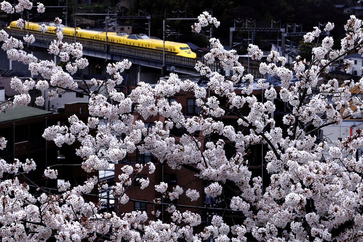 参考写真② ZX-25R】初夏の富士山周辺ツーリング@2025｜FUJI X がある生活