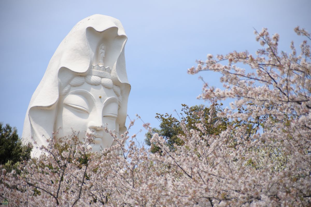 Ai AF Zoom Nikkor 28-105mm F3.5-4.5D（IF）で撮影された写真 | 写真 