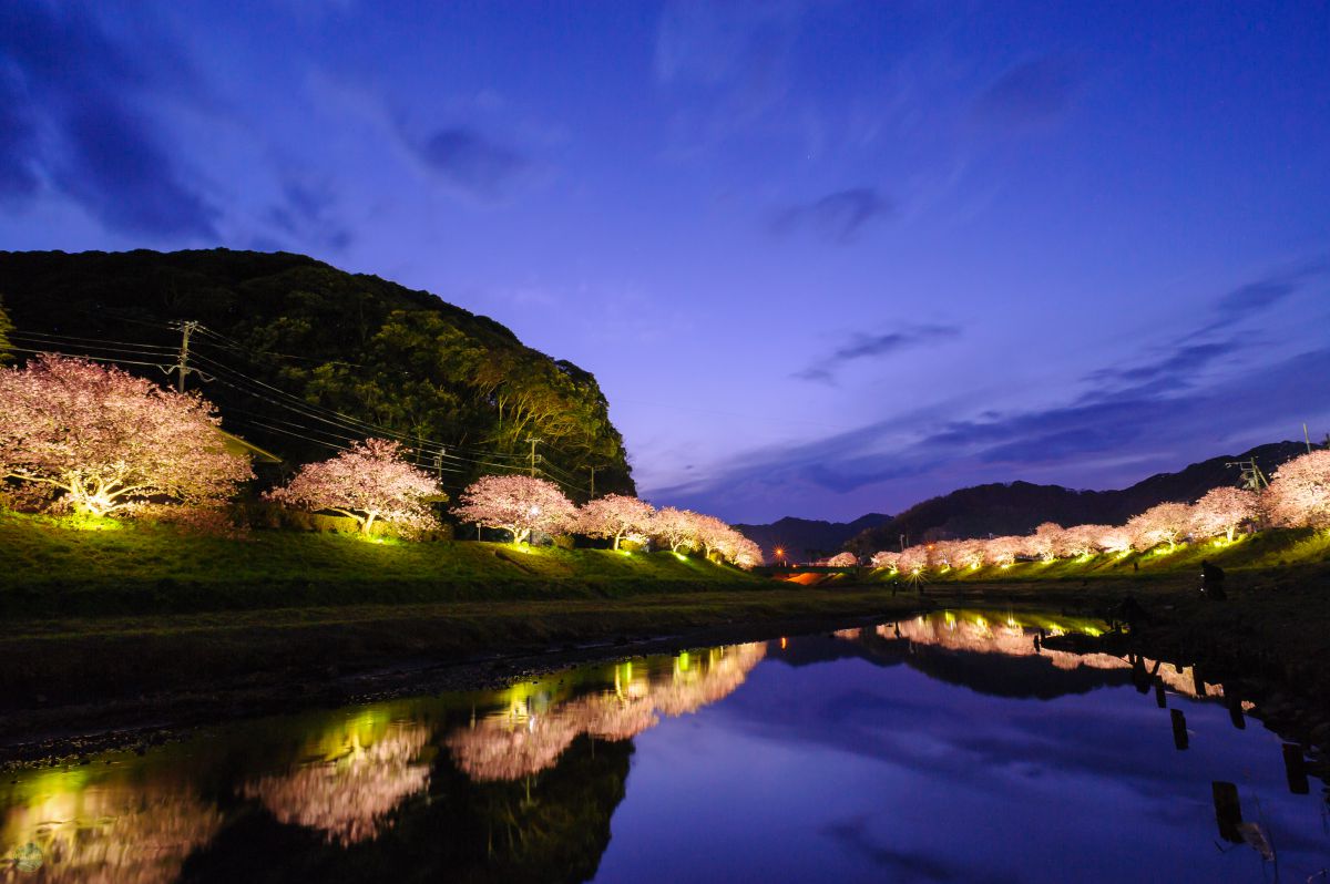 Ai Nikkor 20mm f/2.8Sで撮影された写真 | 写真検索 | GANREF