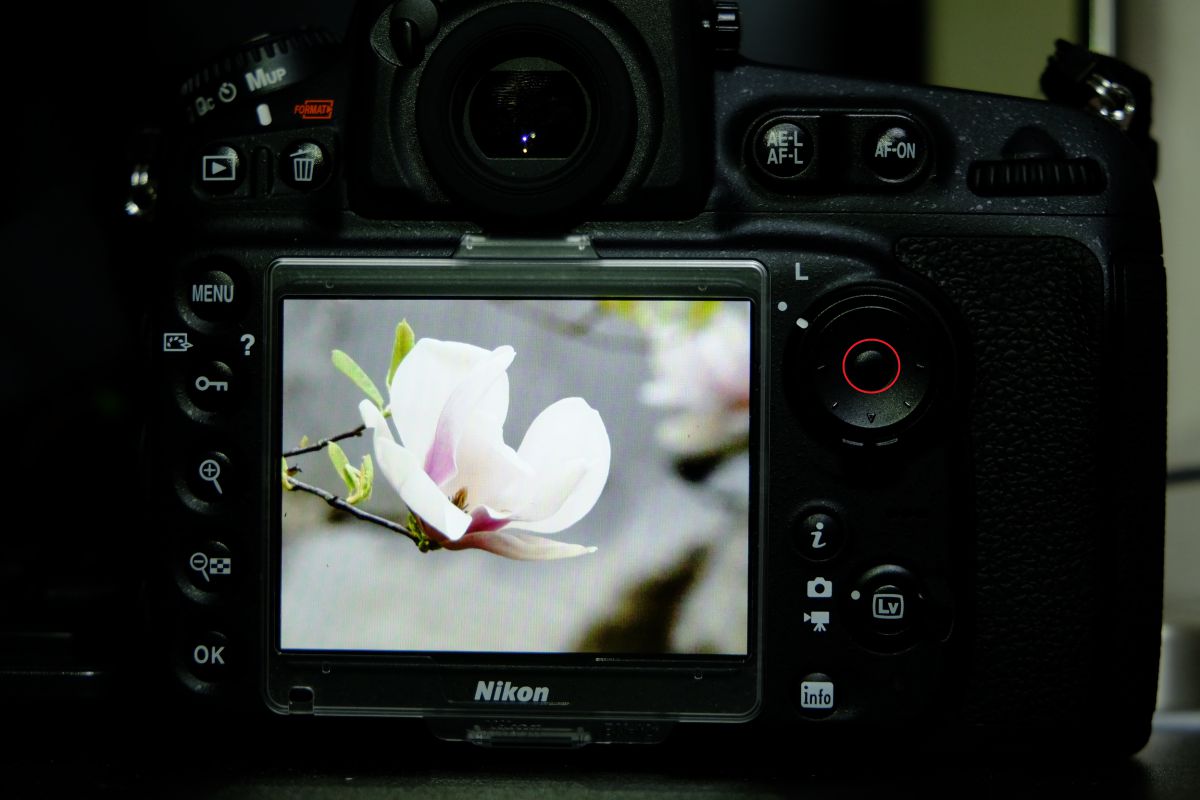 注目製品レビュー ～ニコン D810編～ （第5回：“続”ボタン操作性