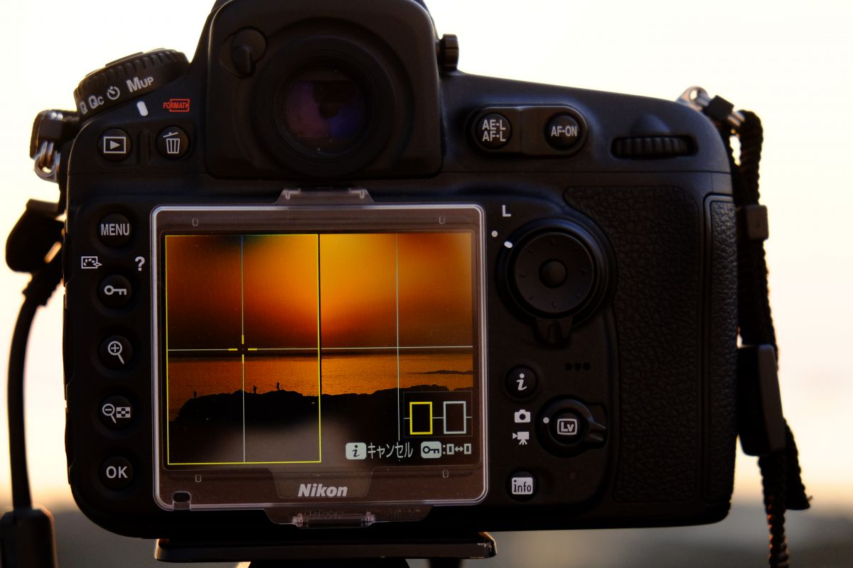 【かびぱん】Nikon ニコン D810 オマケ多数 かびぱん様専用】Nikon ニコン D810 オマケ多数 当店だけの特典