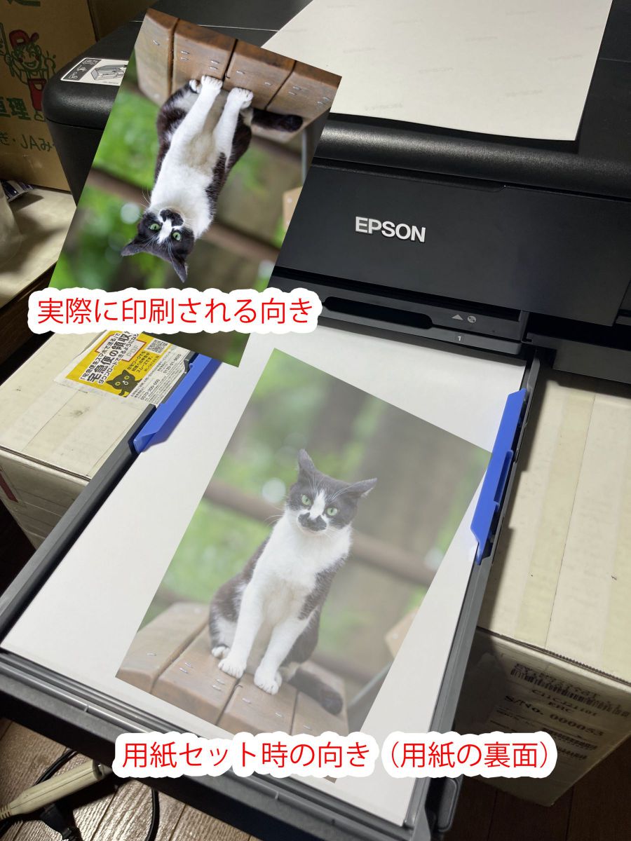 写真展にチャレンジ！～注目製品レビュー エプソン EW-M973A3T ㉘用紙