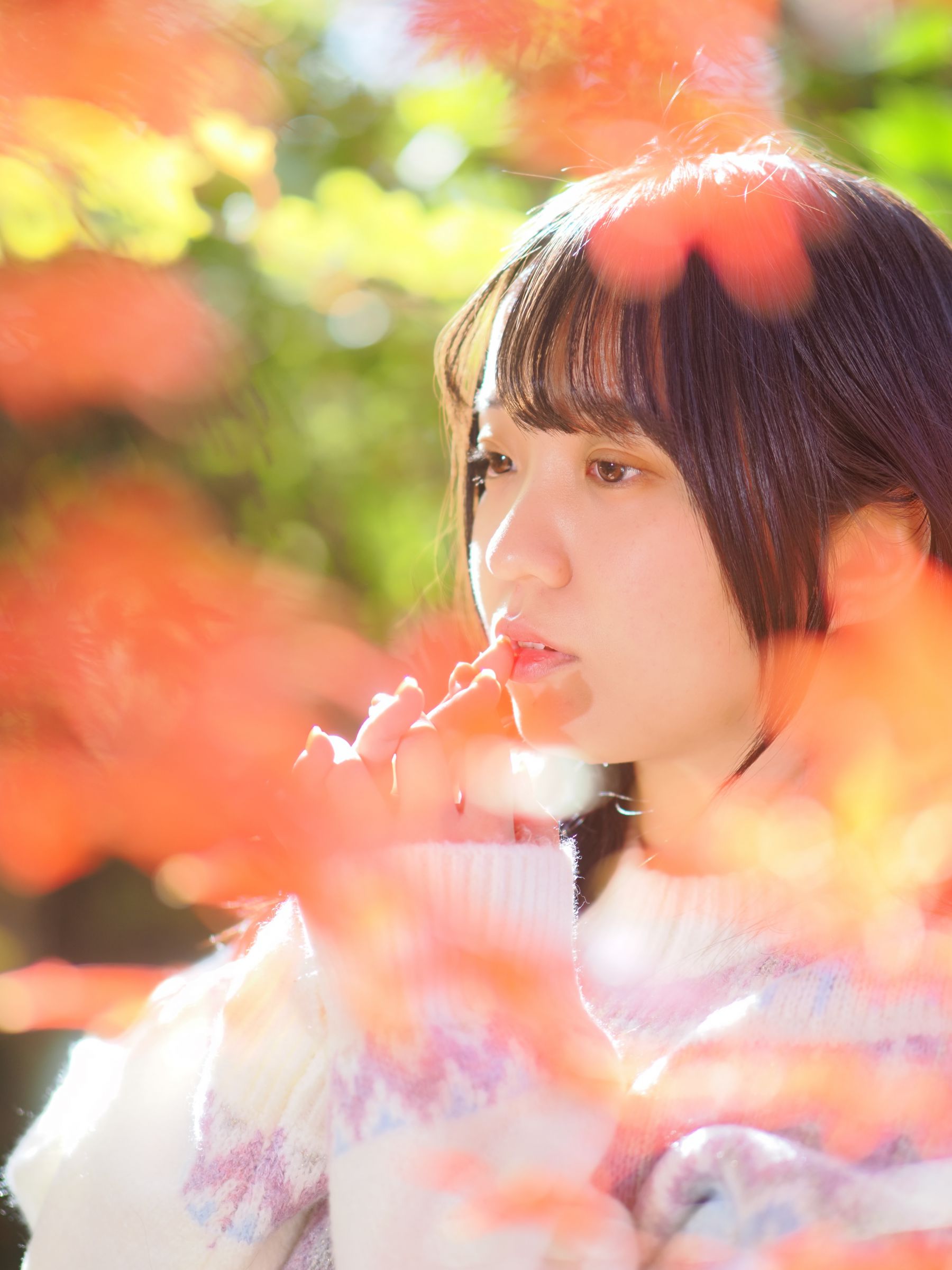 秋の彩りの中で | GANREF