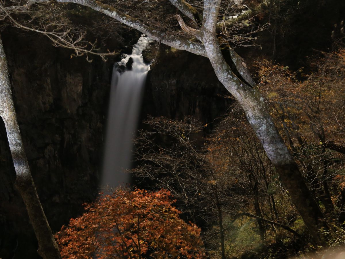 華厳の滝 夜 自然 風景 滝 Ganref